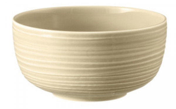 Seltmann Weiden Terra sandbeige Foodbowl 17,5cm