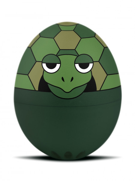 Brainstream PiepEi Schildkröten