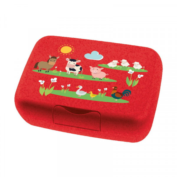 Koziol CANDY L HARRY Lunchbox mit Trennschale organic green