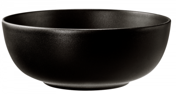 Seltmann Weiden Liberty Velvet Black Foodbowl 25cm