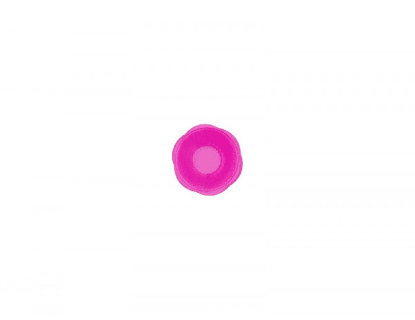 Kochblume Strettch-ii 4 cm pink