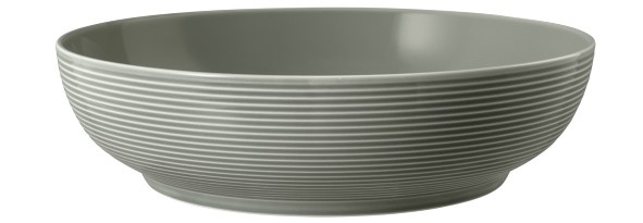 Seltmann Weiden Beat Perlgrau  Foodbowl 25 cm