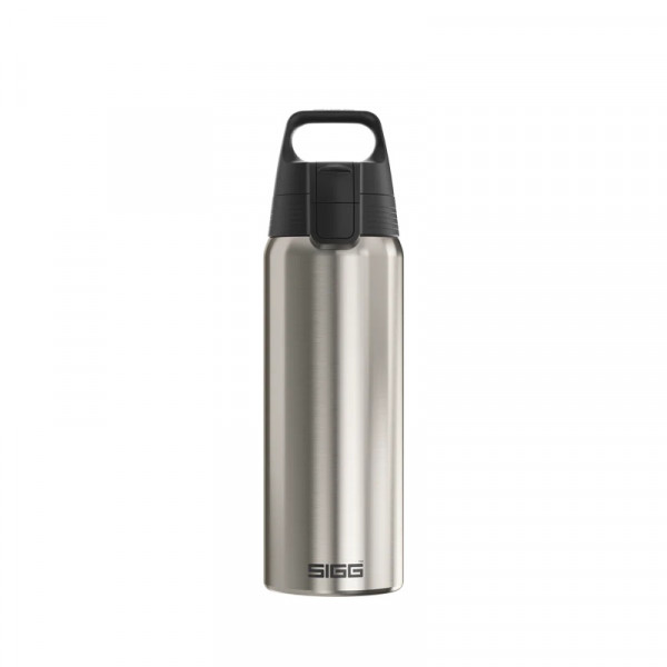 Sigg Trinkflasche Shield One Brushed 1,0l