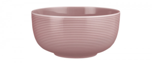 Seltmann Weiden Beat altrosa Foodbowl 17,5cm