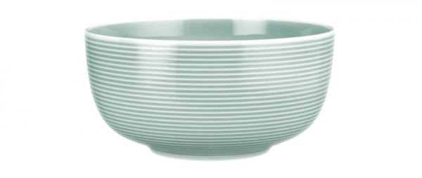 Seltmann Weiden Beat Arktisblau Foodbowl 17,5cm