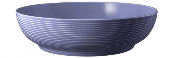 Seltmann Weiden Beat Fliederblau Foodbowl 25 cm