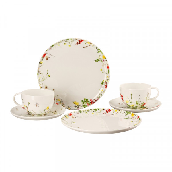 Rosenthal Brillance Fleurs Sauvages Set 6-tlg./Kombi/Cp