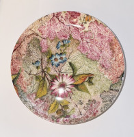 Maxwell & Williams WK02700 Kilburn Schale, Müslischale, Dessertschale, Ocean Fantasy, 16 cm, in Geschenkbox, Porzellan