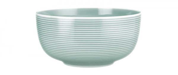 Seltmann Weiden Beat Arktisblau Foodbowl 17,5cm